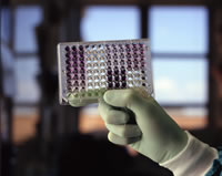 A hand holding a piece of scientific equipment.